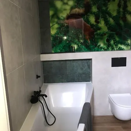 Ostrzycki Nad Jeziorem -balia-sauna-prywatny Pomost * Pierszczewo