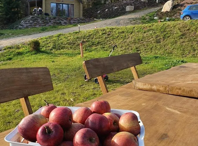 בית נופש Ostrzycki Nad Jeziorem -balia-sauna-prywatny Pomost