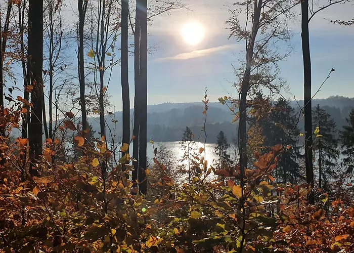 Dom wakacyjny Ostrzycki Nad Jeziorem -balia-sauna-prywatny Pomost *